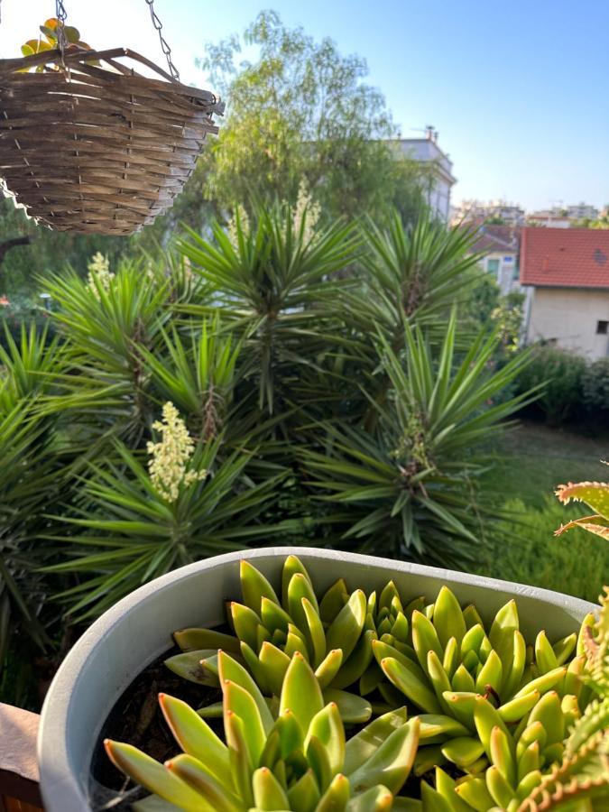 Location De Chambre Privee Dans Residence Securisee Privee,Parking Gratuit , 1 Minute Du Tramway, A 9 Minute Du Centre Ville, Accessible A Plusieurs Transports Ницца Экстерьер фото